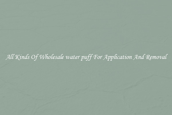 All Kinds Of Wholesale water puff For Application And Removal