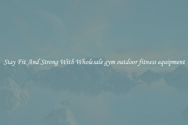 Stay Fit And Strong With Wholesale gym outdoor fitness equipment