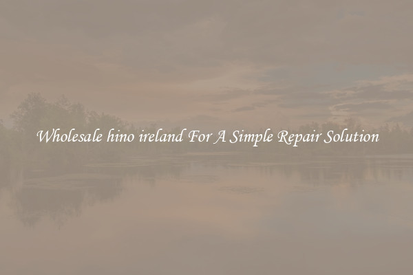 Wholesale hino ireland For A Simple Repair Solution