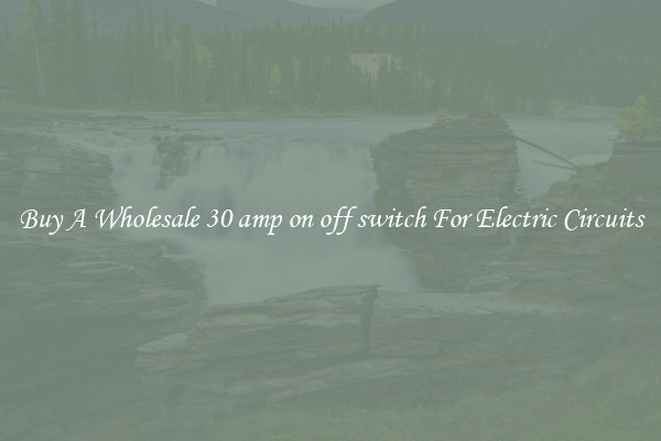Buy A Wholesale 30 amp on off switch For Electric Circuits