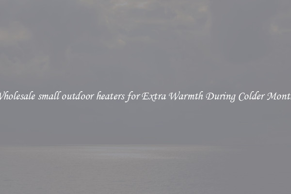 Wholesale small outdoor heaters for Extra Warmth During Colder Months