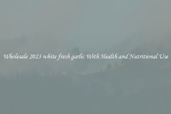 Wholesale 2023 white fresh garlic With Health and Nutritional Use