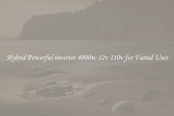 Hybrid Powerful inverter 4000w 12v 110v for Varied Uses