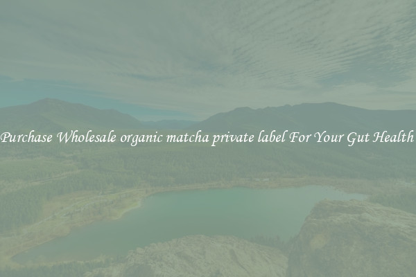 Purchase Wholesale organic matcha private label For Your Gut Health 