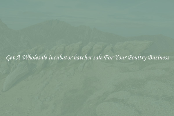 Get A Wholesale incubator hatcher sale For Your Poultry Business