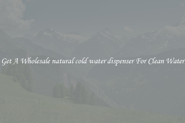 Get A Wholesale natural cold water dispenser For Clean Water