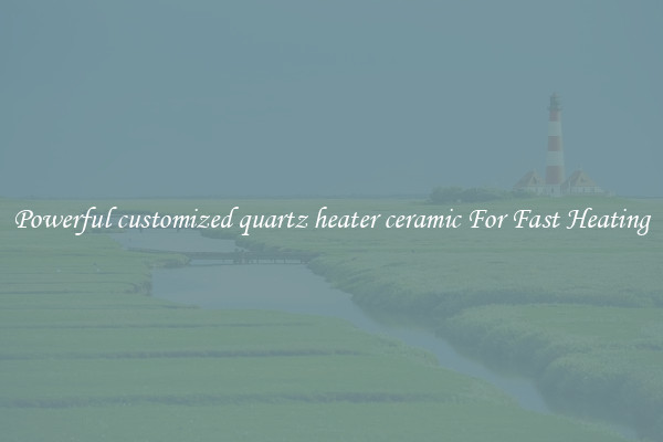 Powerful customized quartz heater ceramic For Fast Heating