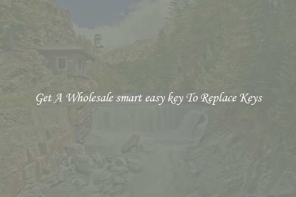 Get A Wholesale smart easy key To Replace Keys