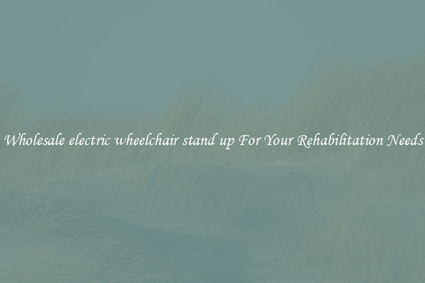 Wholesale electric wheelchair stand up For Your Rehabilitation Needs