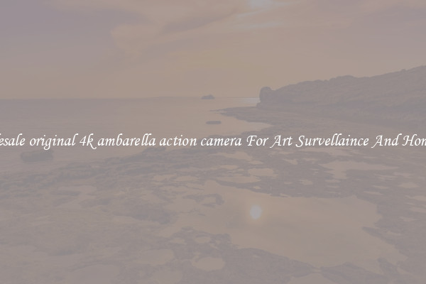 Wholesale original 4k ambarella action camera For Art Survellaince And Home Use