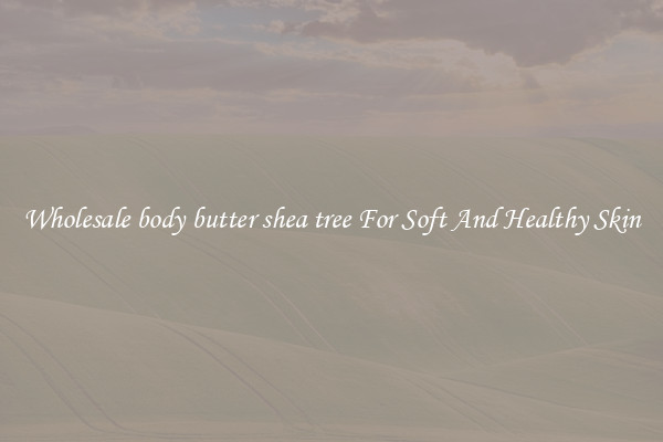 Wholesale body butter shea tree For Soft And Healthy Skin