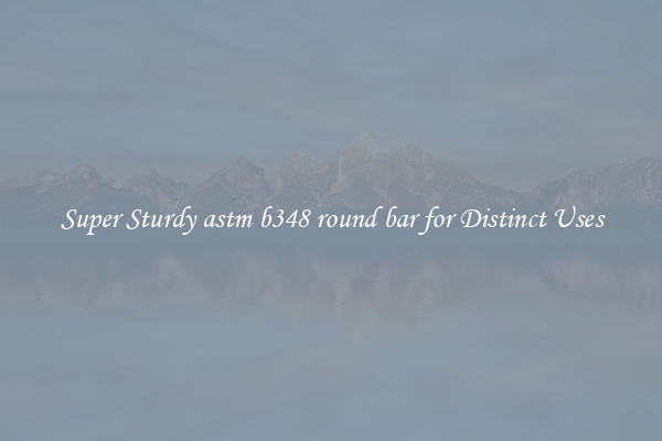 Super Sturdy astm b348 round bar for Distinct Uses