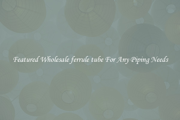 Featured Wholesale ferrule tube For Any Piping Needs